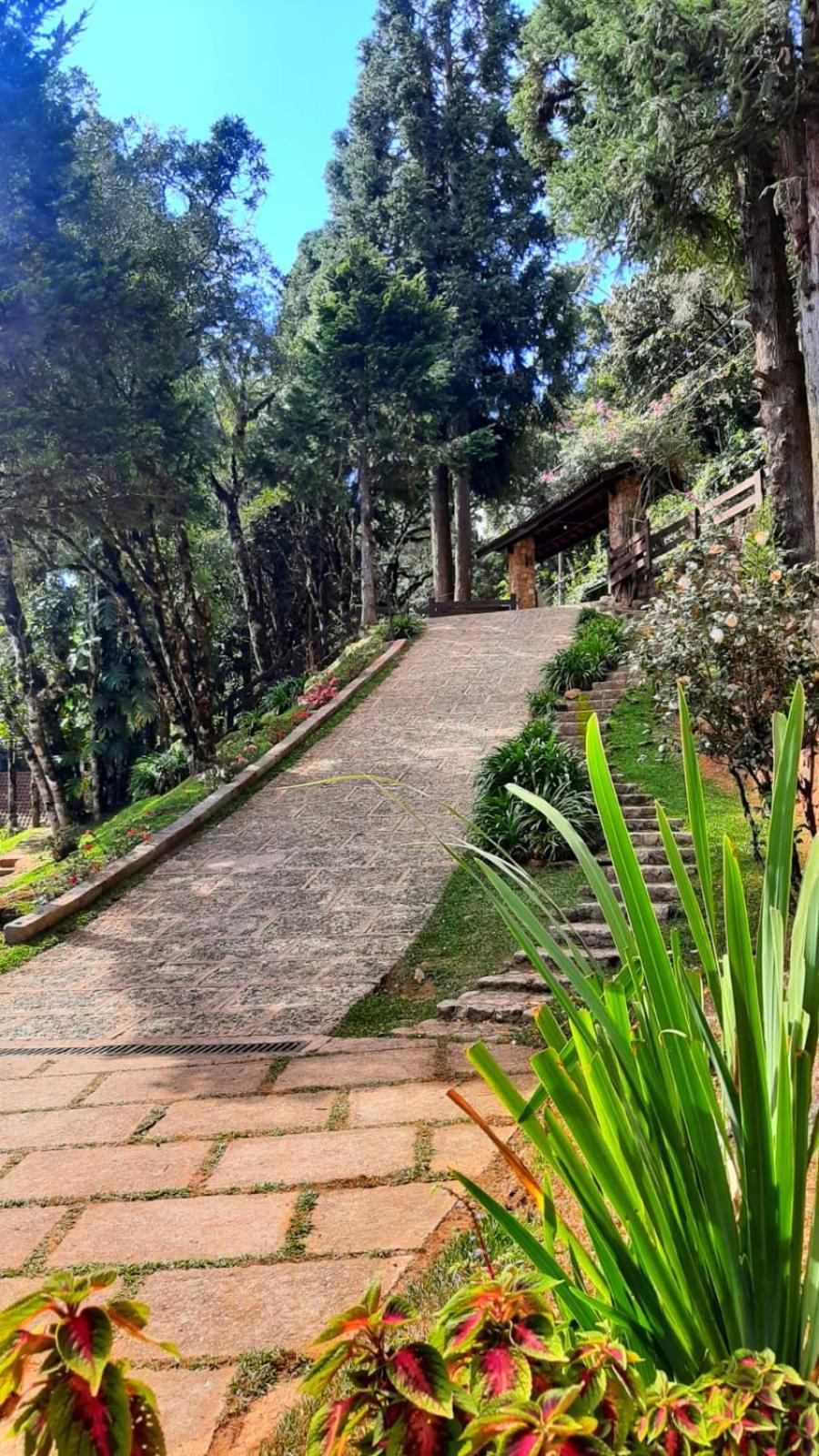 Refugio Do Selado Otel Monte Verde  Dış mekan fotoğraf